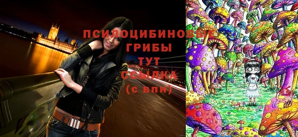 ПСИЛОЦИБИНОВЫЕ ГРИБЫ Иноземцево