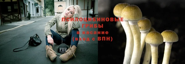 ПСИЛОЦИБИНОВЫЕ ГРИБЫ Иноземцево