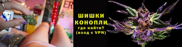 дмт Александровское