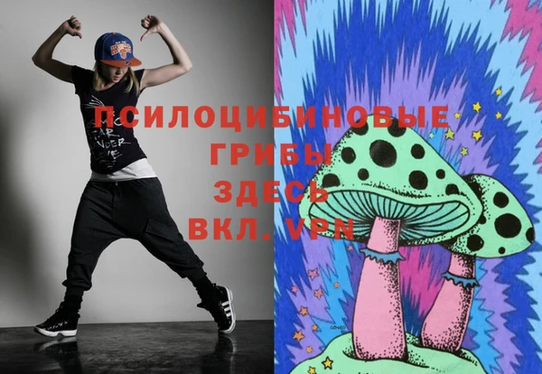 ПСИЛОЦИБИНОВЫЕ ГРИБЫ Иноземцево