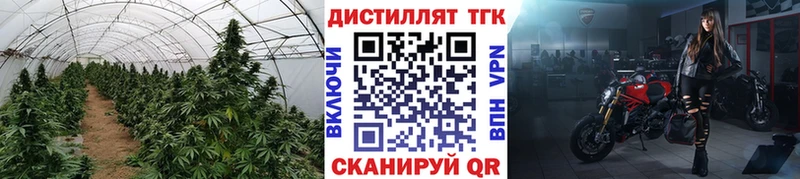 ТГК концентрат  Купить закладки  Новоалтайск 